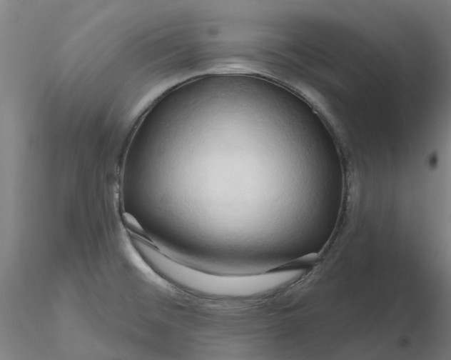 X0000116281476200912211809