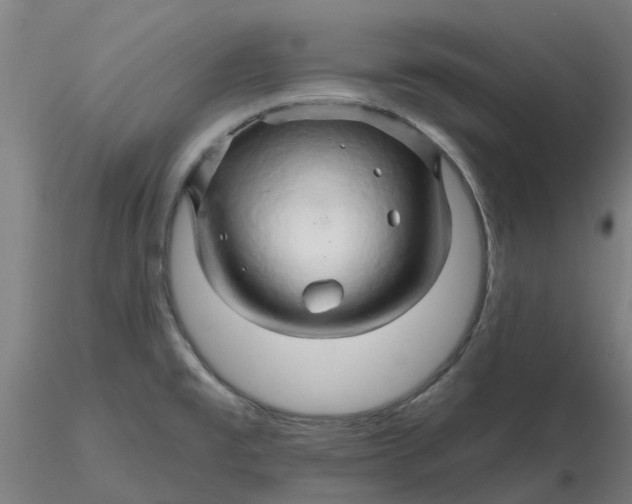 X0000116281477200912211809