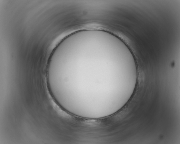 X0000116281478200912211809