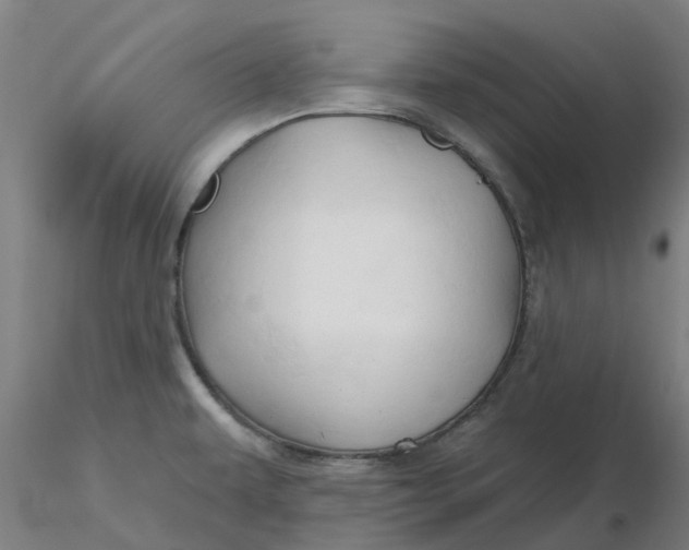 X0000116281479200912211809