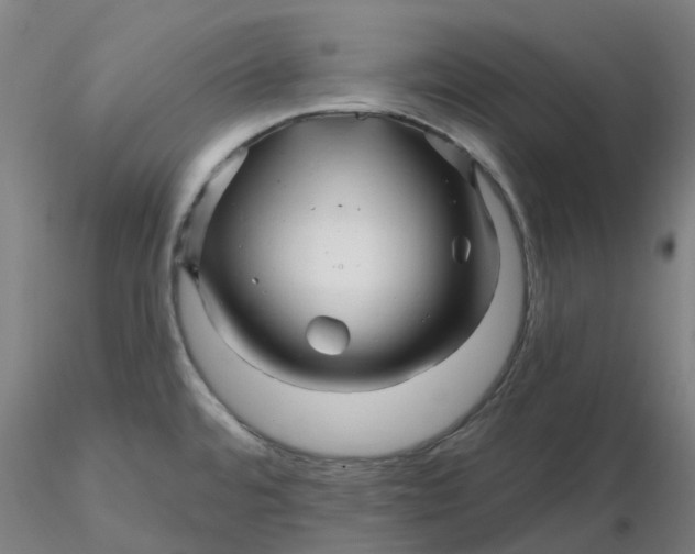 X0000116281480200912211809