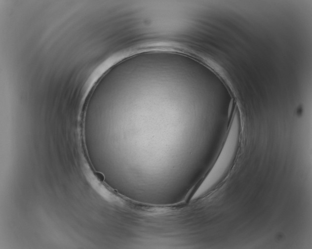 X0000116281482200912211809