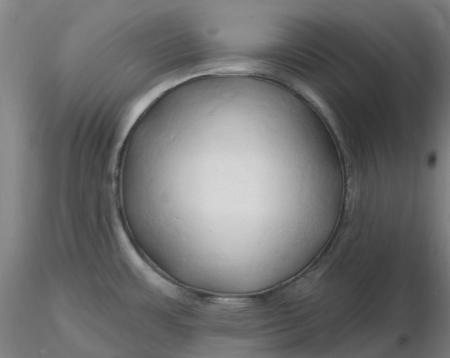 X0000116281483200912211809