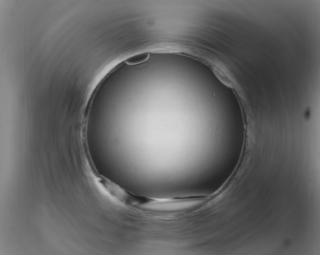 X0000116281484200912211809