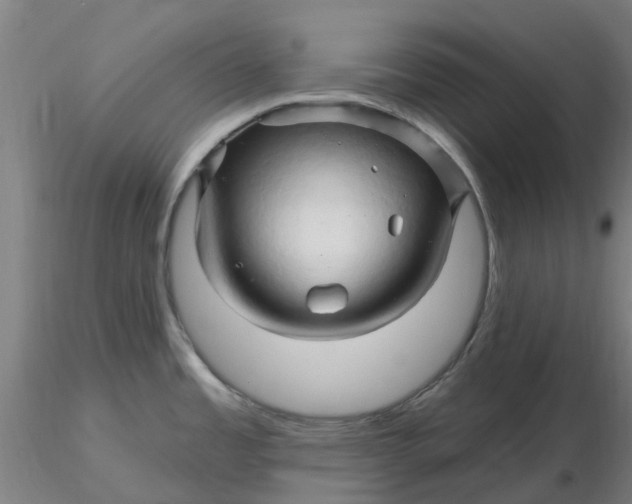 X0000116281485200912211809