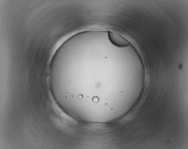 X0000116281486200912211809