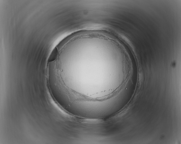 X0000116281487200912211809