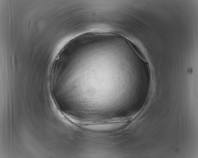 X0000116281488200912211809