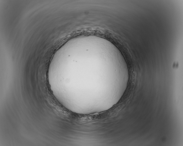 X0000116281489200912211808