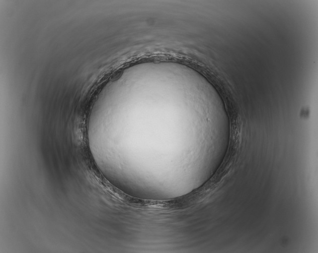 X0000116281490200912211808