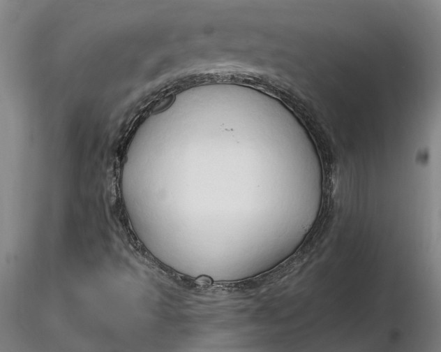 X0000116281493200912211808