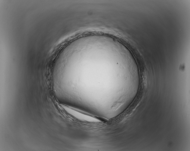 X0000116281494200912211808