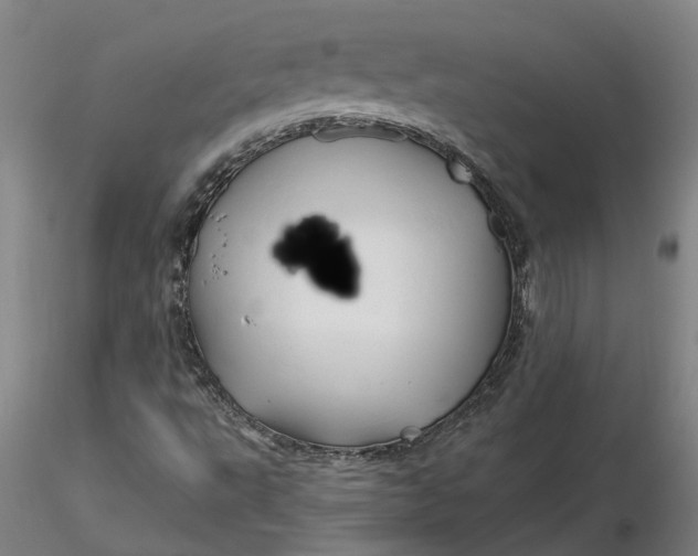 X0000116281495200912211808