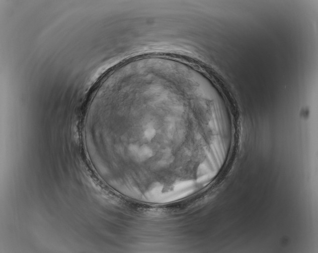 X0000116281497200912211808