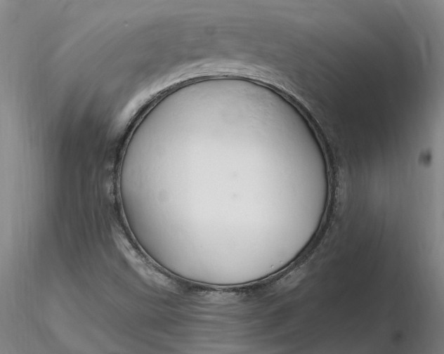 X0000116281499200912211808