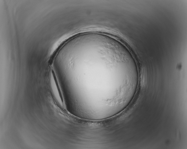 X0000116281501200912211808