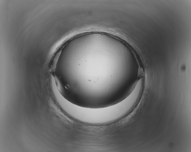 X0000116281502200912211808