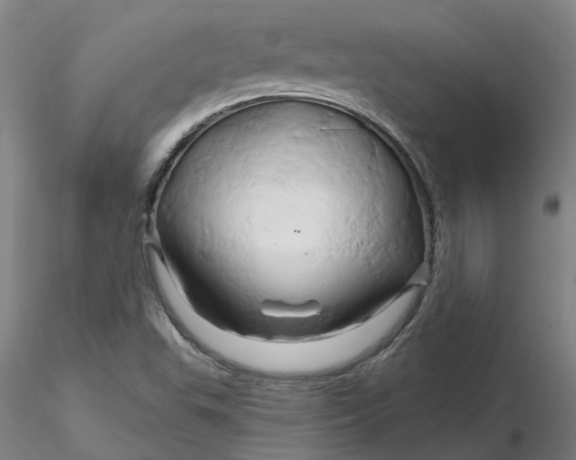 X0000116281503200912211808