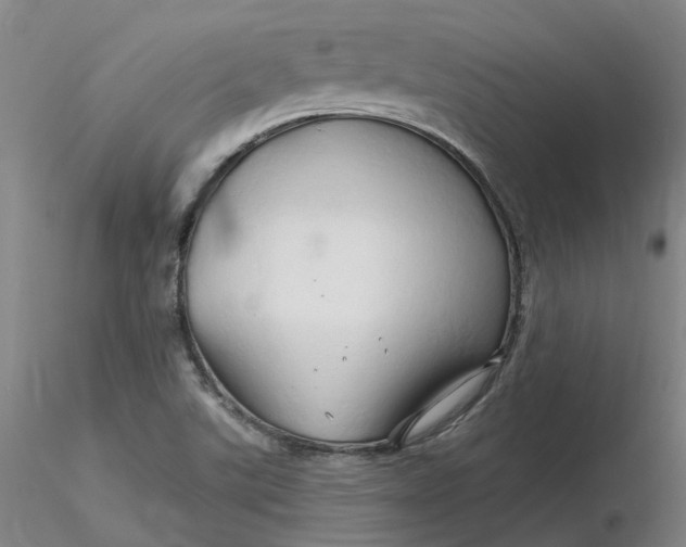 X0000116281507200912211808