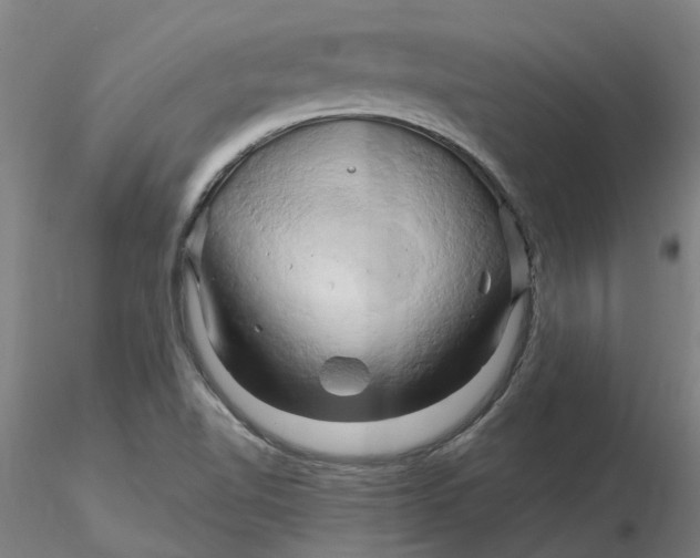 X0000116281510200912211808