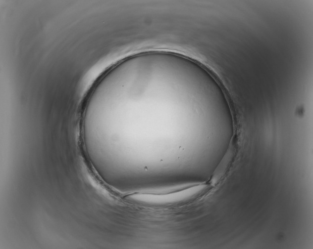 X0000116281511200912211808