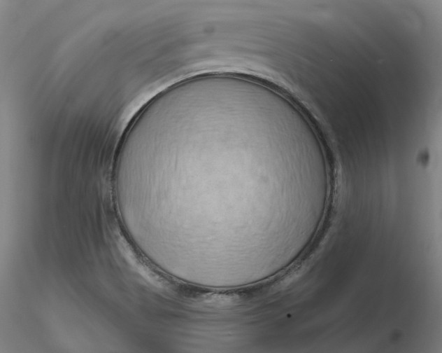 X0000116281513200912211808