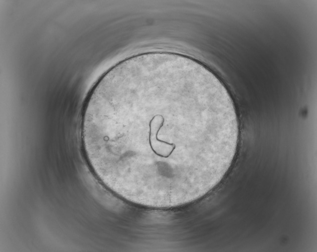 X0000116281514200912211808