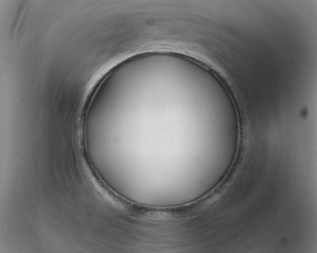 X0000116281517200912211808