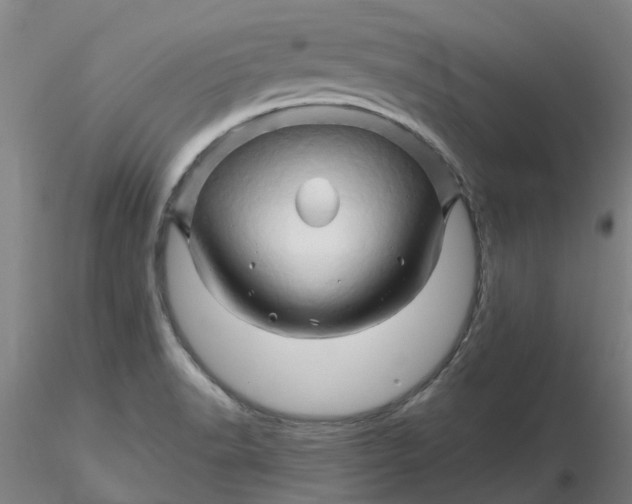 X0000116281518200912211808