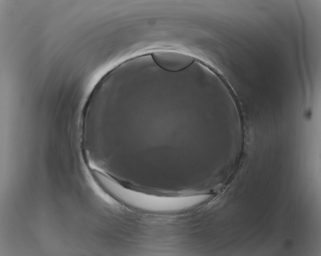 X0000116281519200912211808