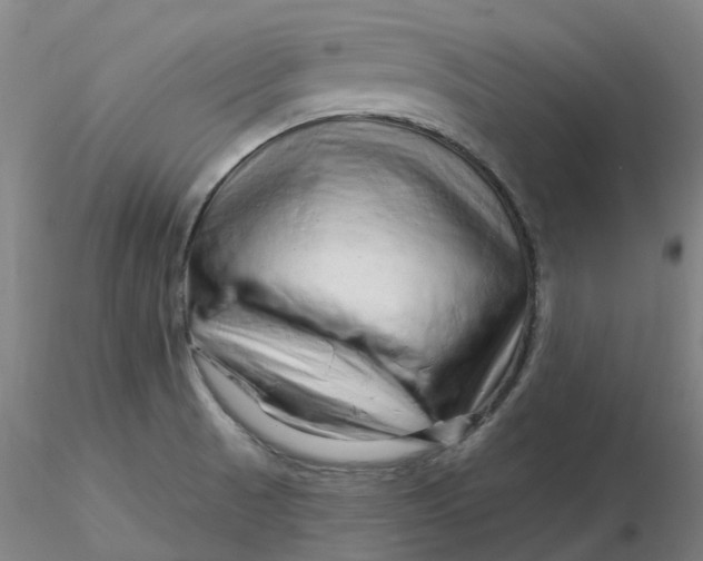 X0000116281521200912211808