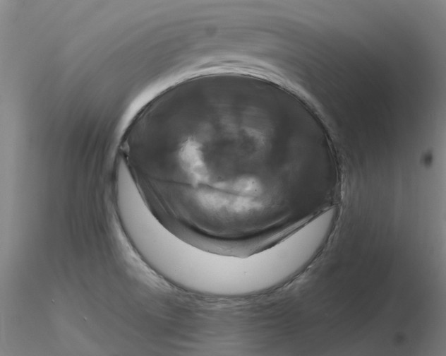 X0000116281522200912211808