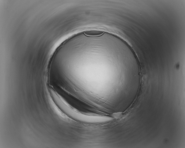 X0000116281523200912211808