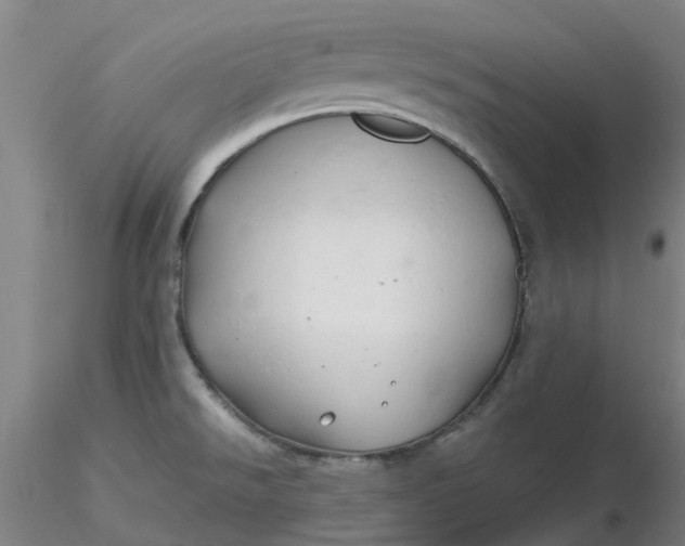 X0000116281526200912211808