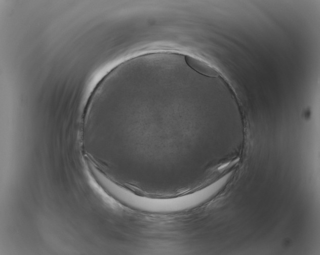 X0000116281527200912211808