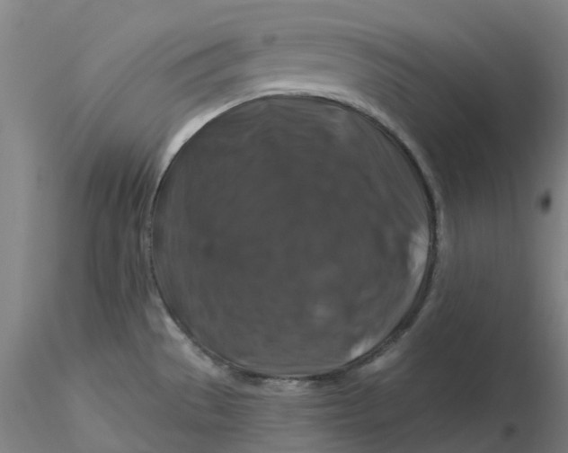 X0000116281529200912211808