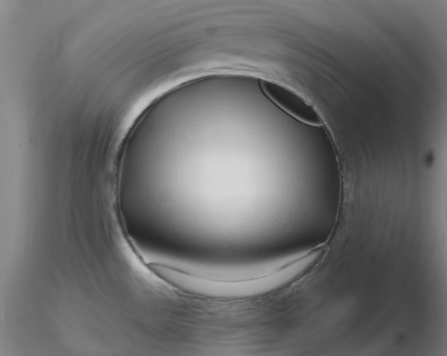 X0000116281531200912211808