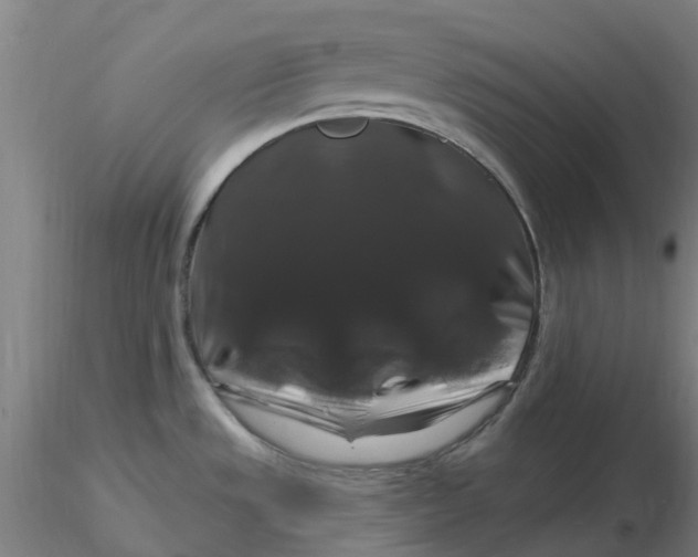 X0000116281533200912211808