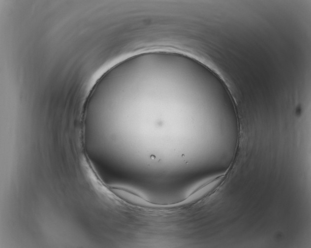 X0000116281534200912211808