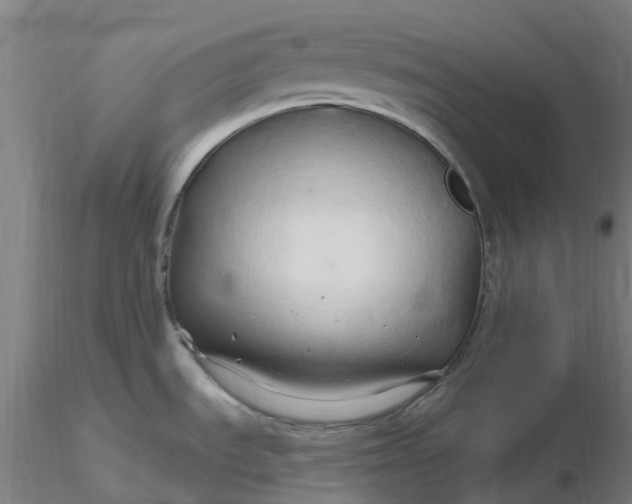 X0000116281535200912211808