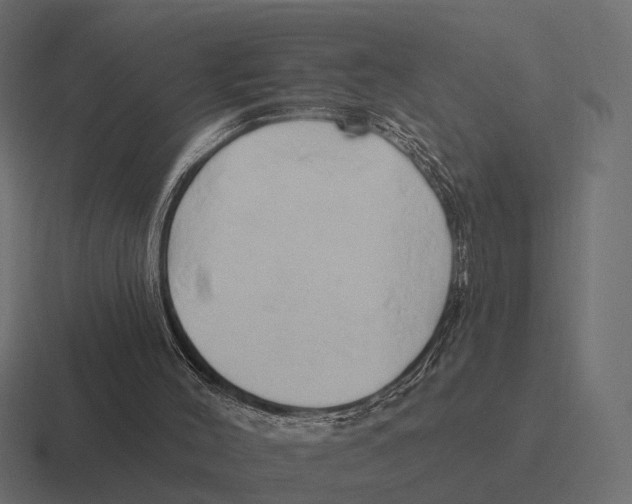 X0000116280004200912291402