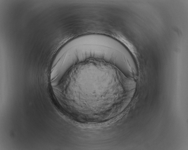 X0000116280009200912291402