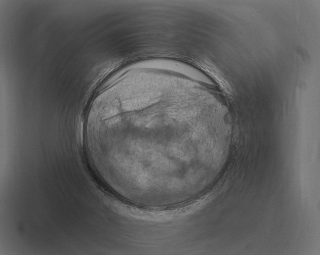 X0000116280014200912291402