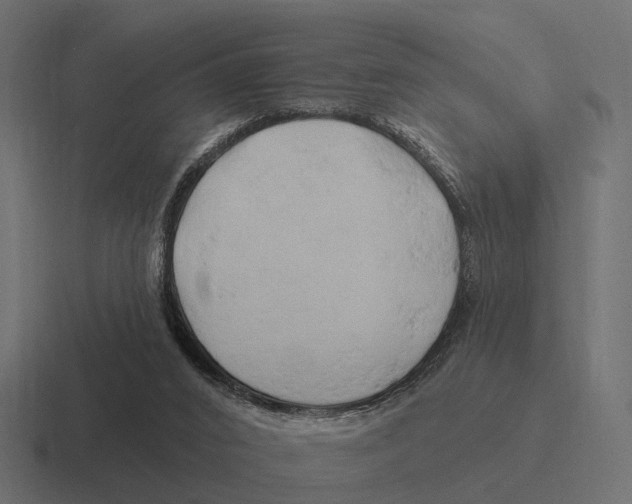 X0000116280016200912291402