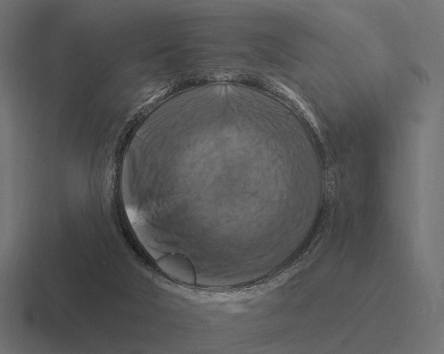 X0000116280018200912291402