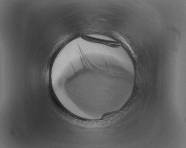X0000116280019200912291402