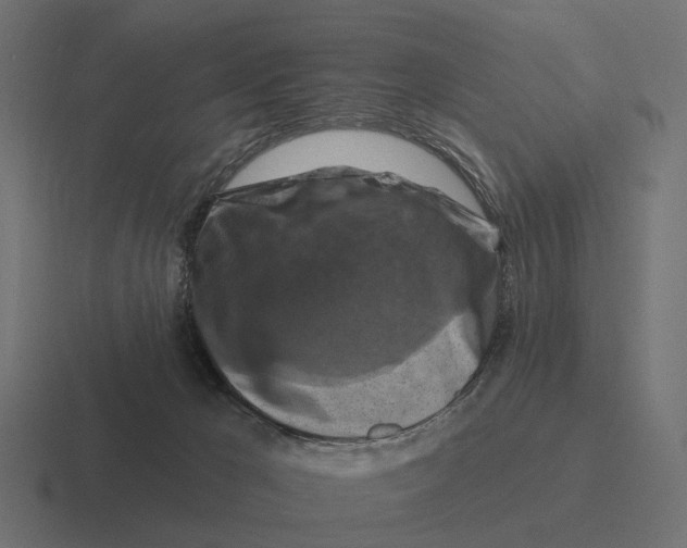 X0000116280029200912291401