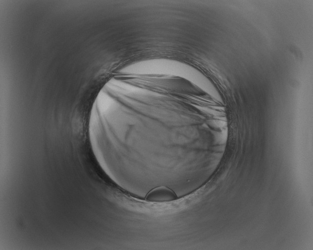 X0000116280031200912291401