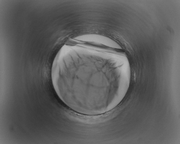 X0000116280035200912291401
