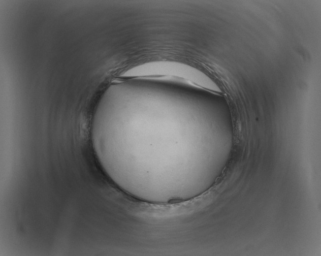 X0000116280037200912291401